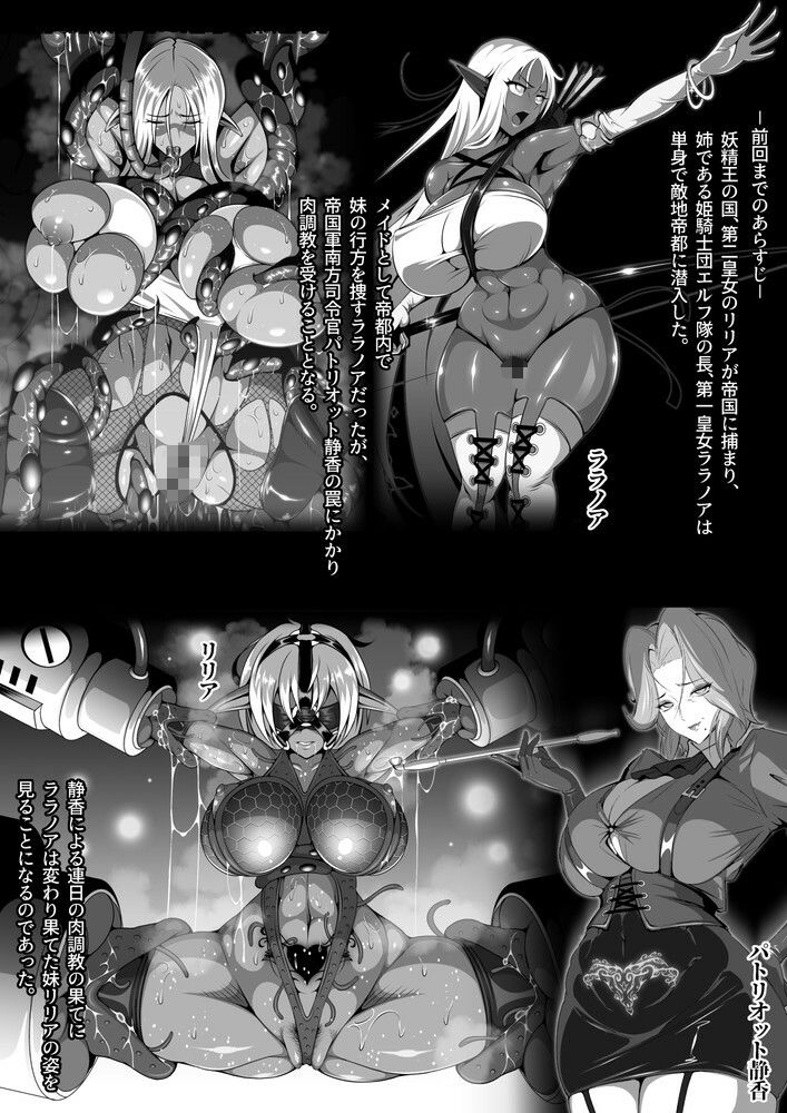 淫紋悪堕ちノ姫騎士団 vol2 敗北の巨乳熟女悪の女幹部乳首改造淫獄変