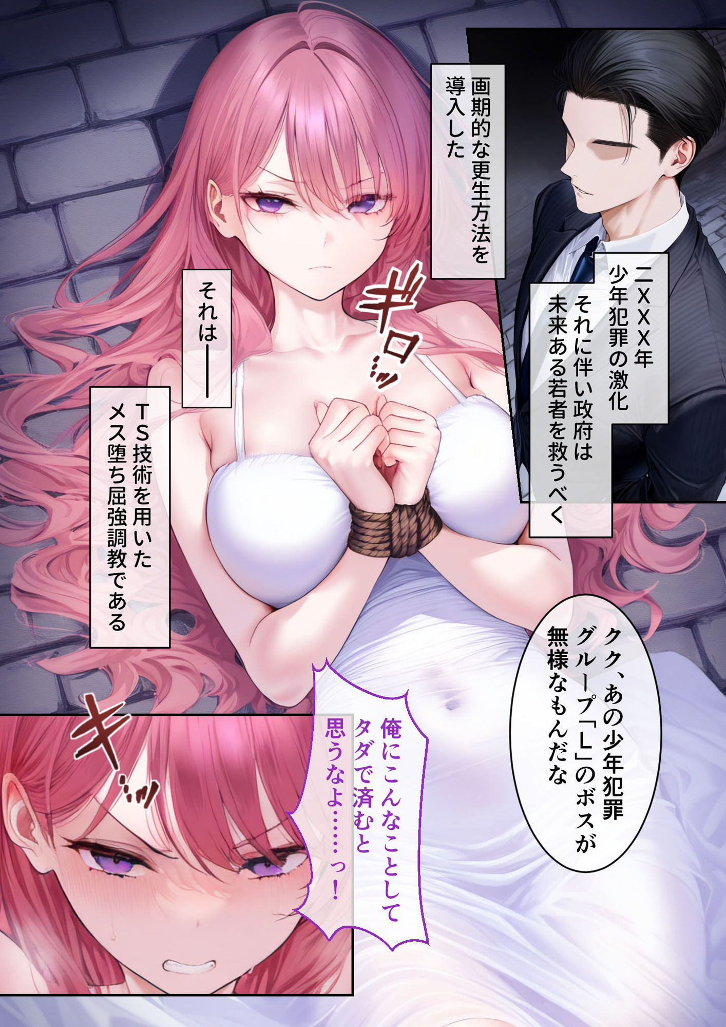 TSメス堕ち更生プログラム 〜女体化技術でお利口SEX〜