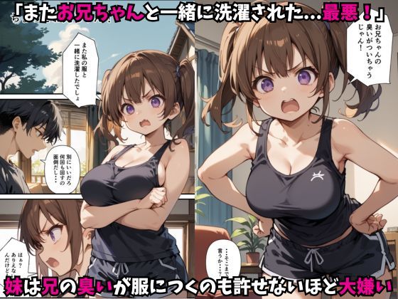 実はお兄ちゃん大好き妹とえっちした話