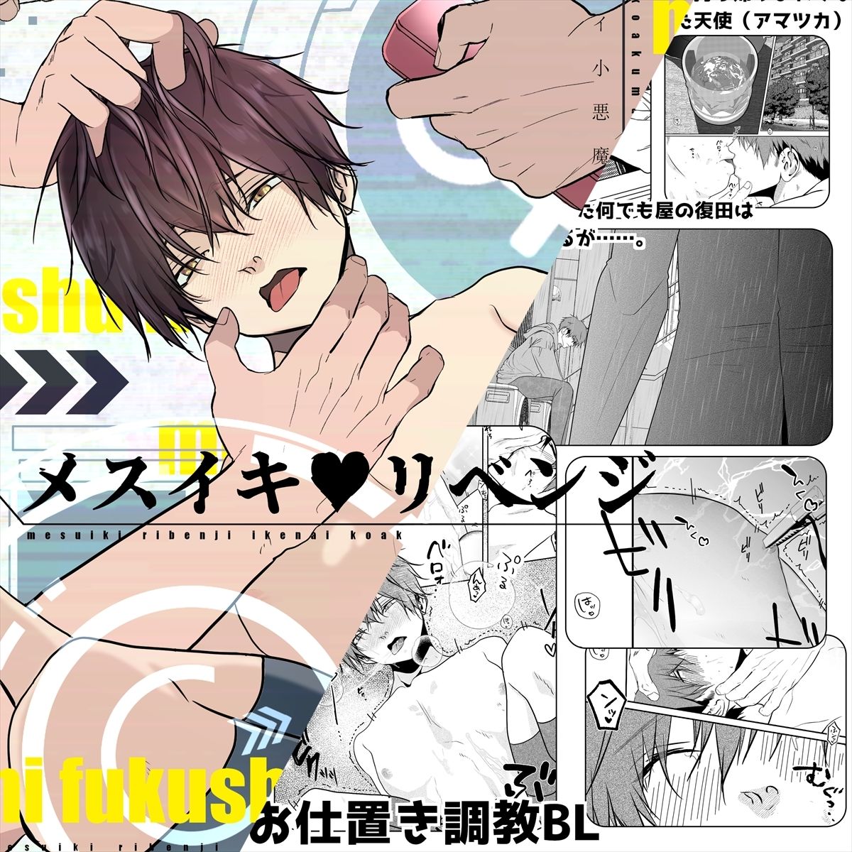 メスイキリベンジ イケナイ小悪魔に復讐を