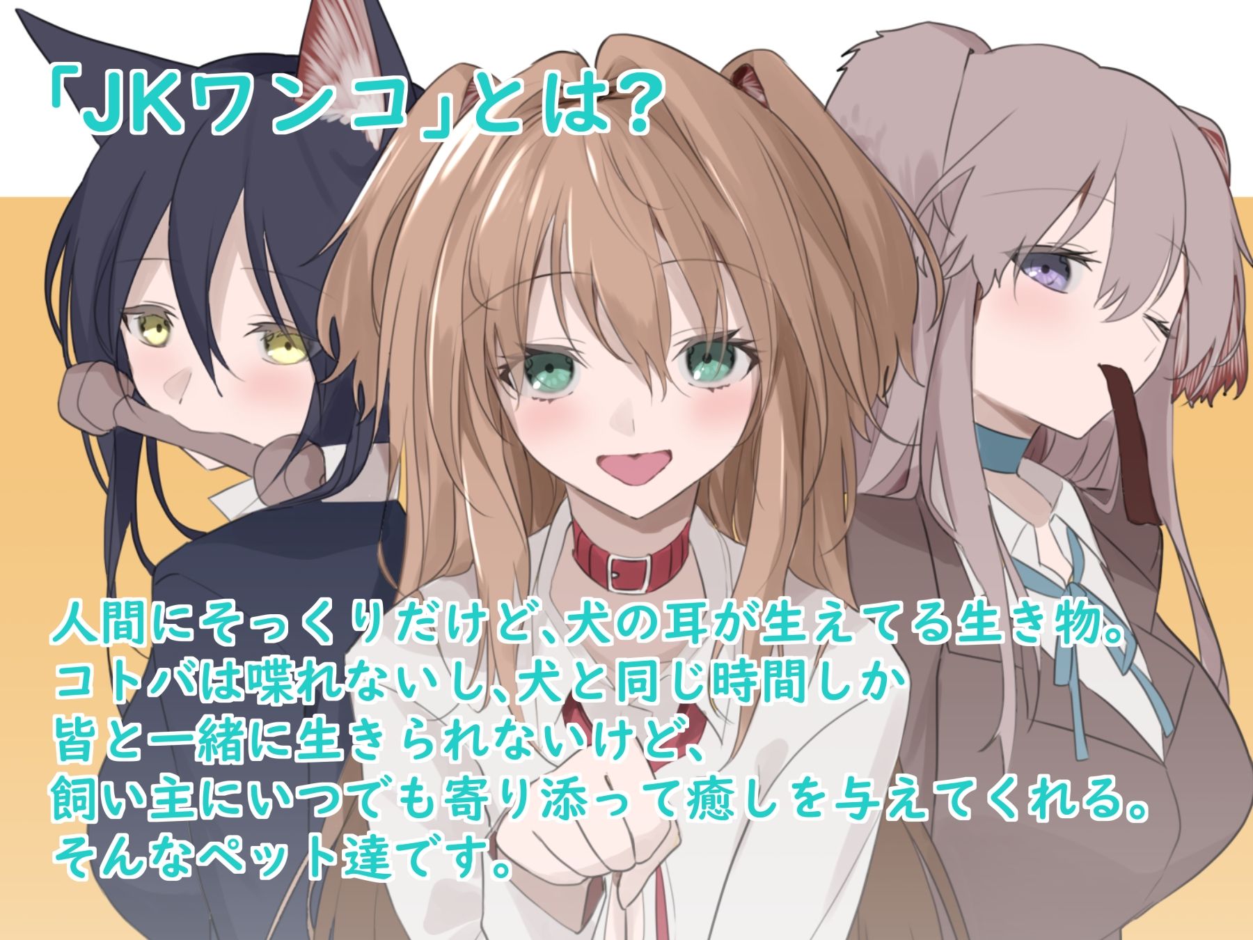 JKワンコ飼育日誌 〜シェパードのノアちゃんのお宅の場合〜