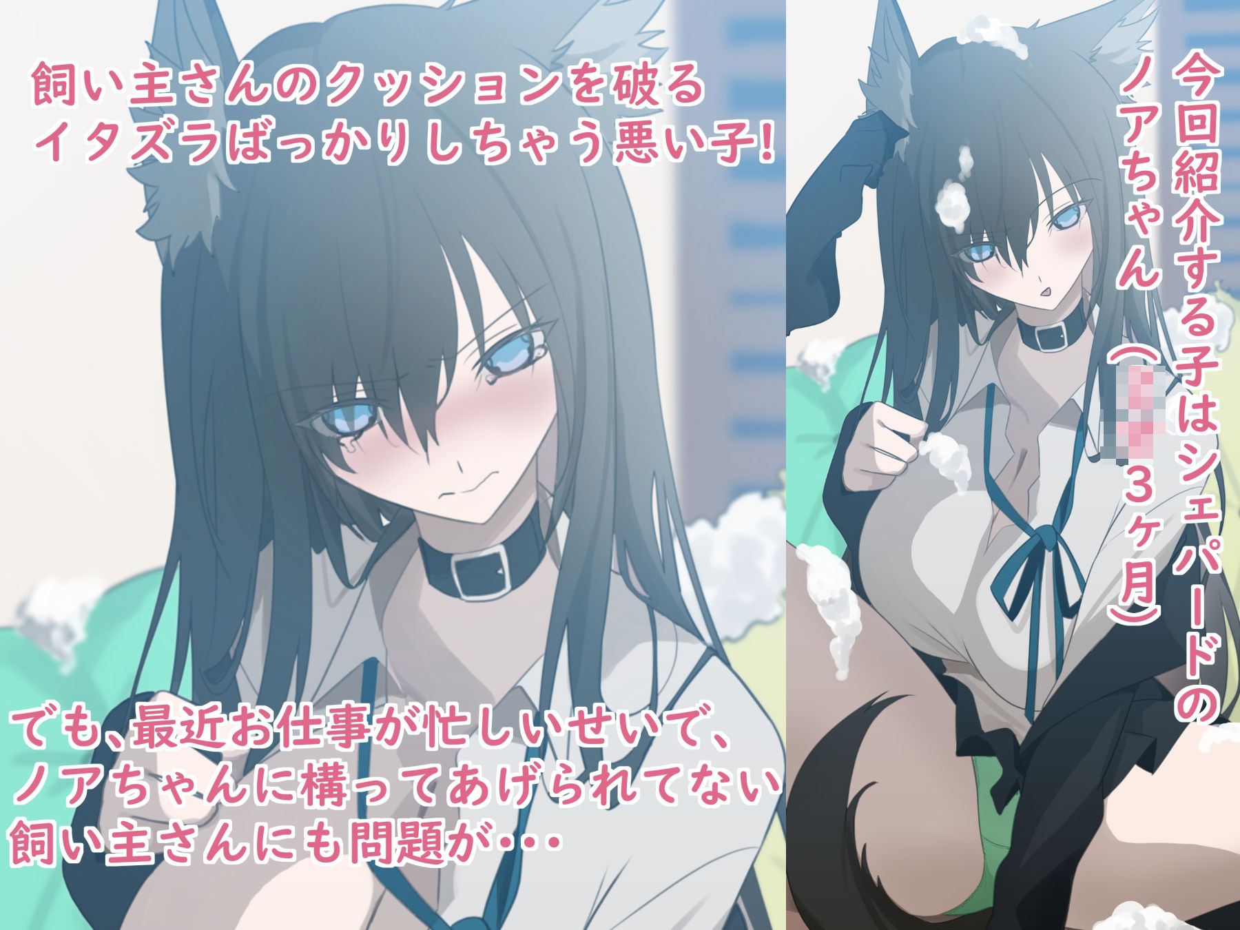 JKワンコ飼育日誌 〜シェパードのノアちゃんのお宅の場合〜