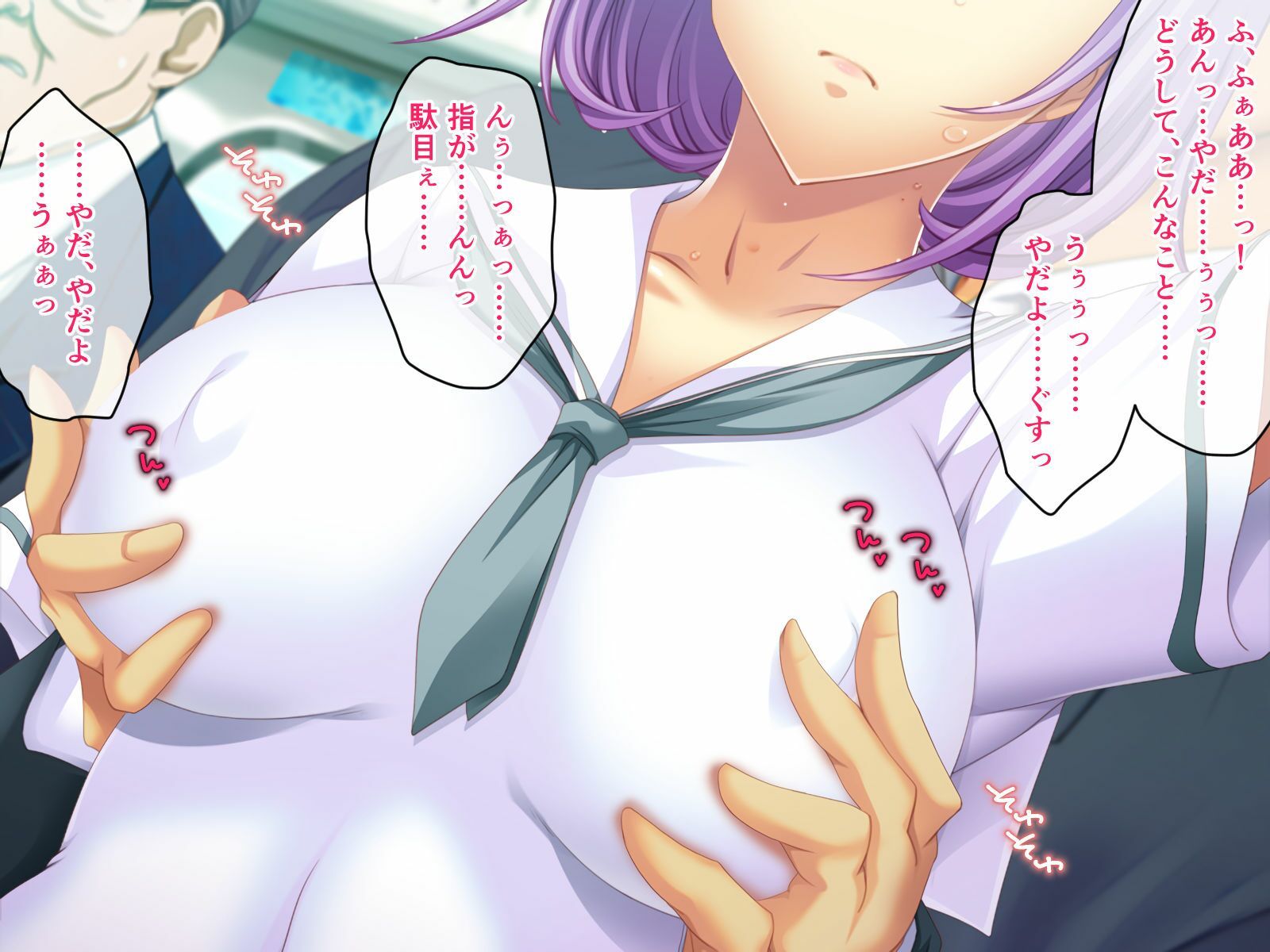 真・痴●の極み CGノベル版 筒井 未架編 〜獲物をイカせ続ける絶頂満淫電車〜