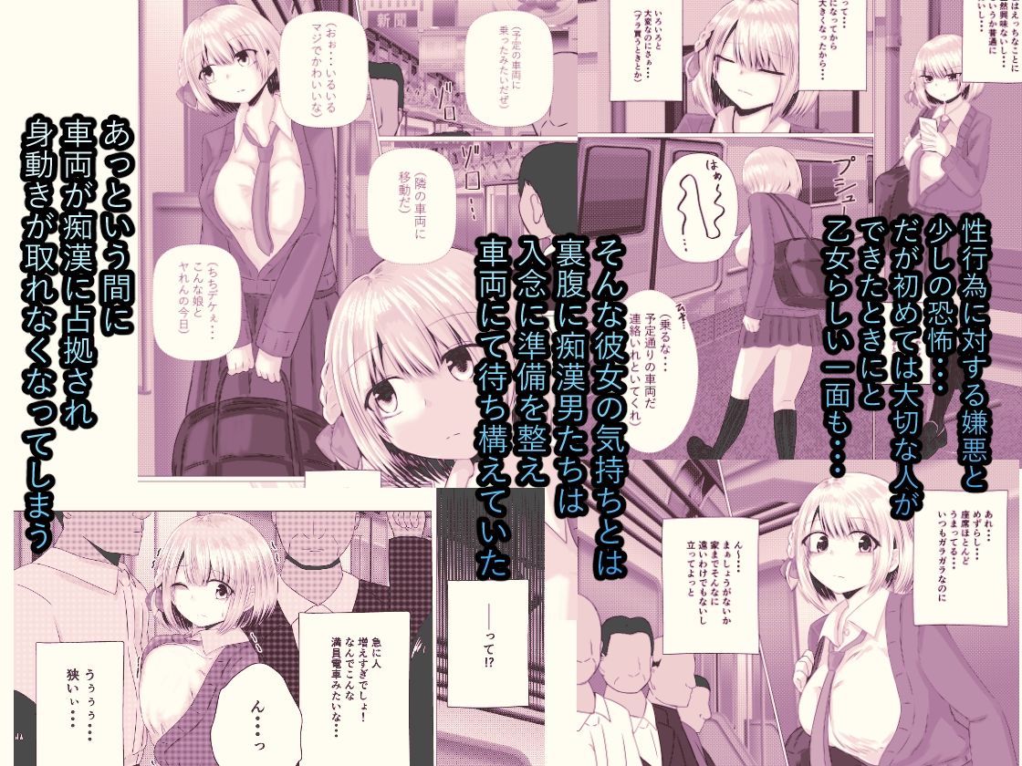 孕ませ痴●電車 白銀 響編
