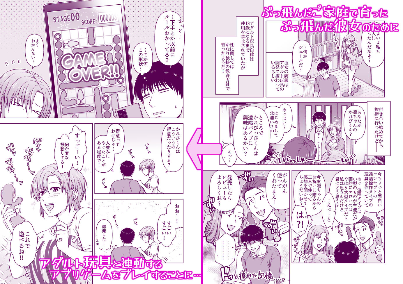 大人になったら遊べるオモチャ