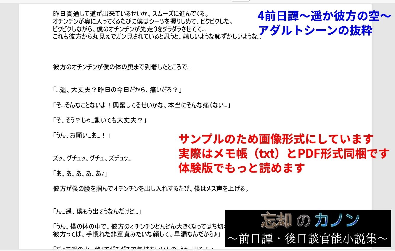 忘却のカノン〜前日譚・後日談官能小説集〜