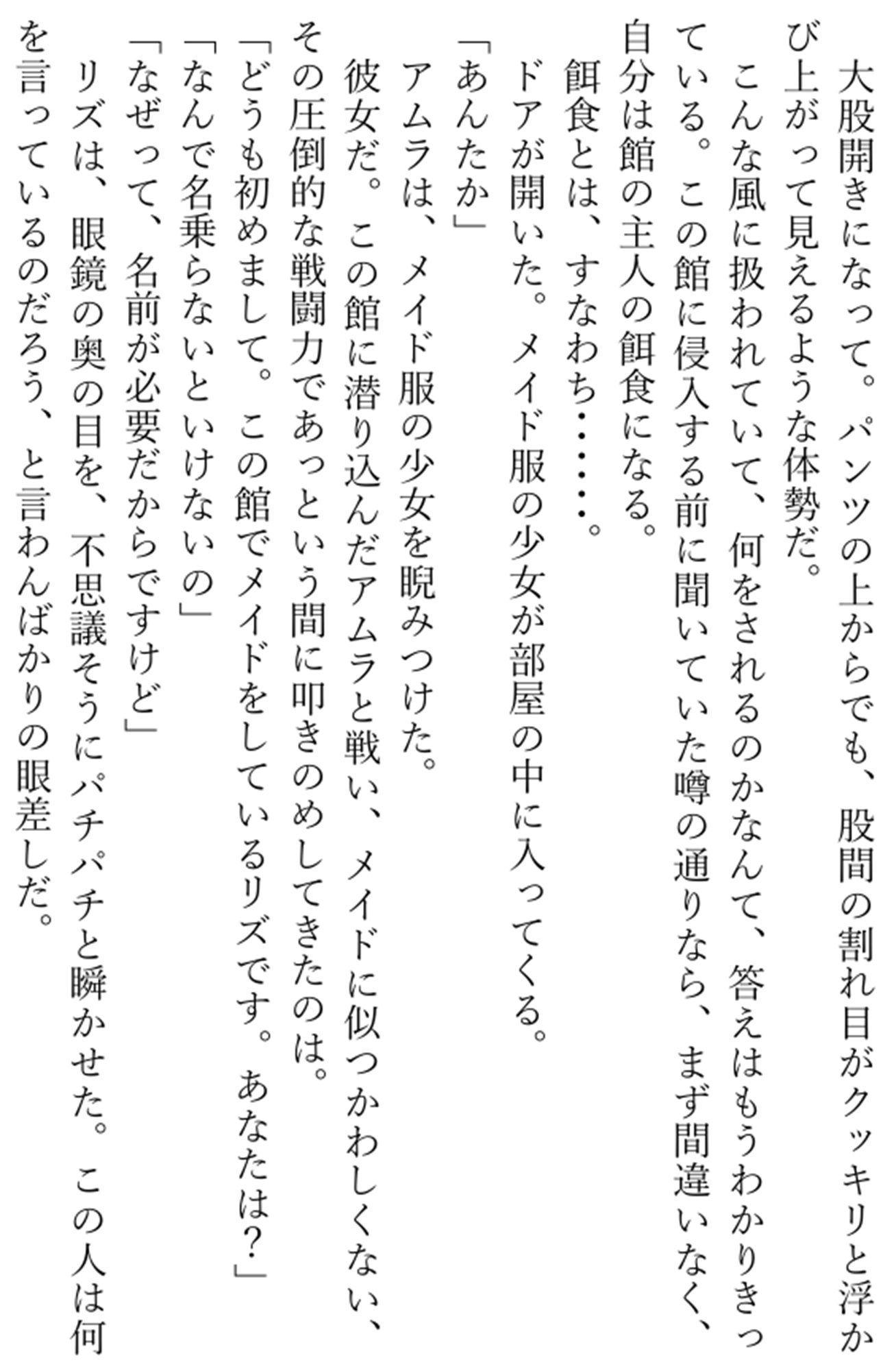 雷の戦士ライディ〜女盗賊アムラと淫従のメイド〜