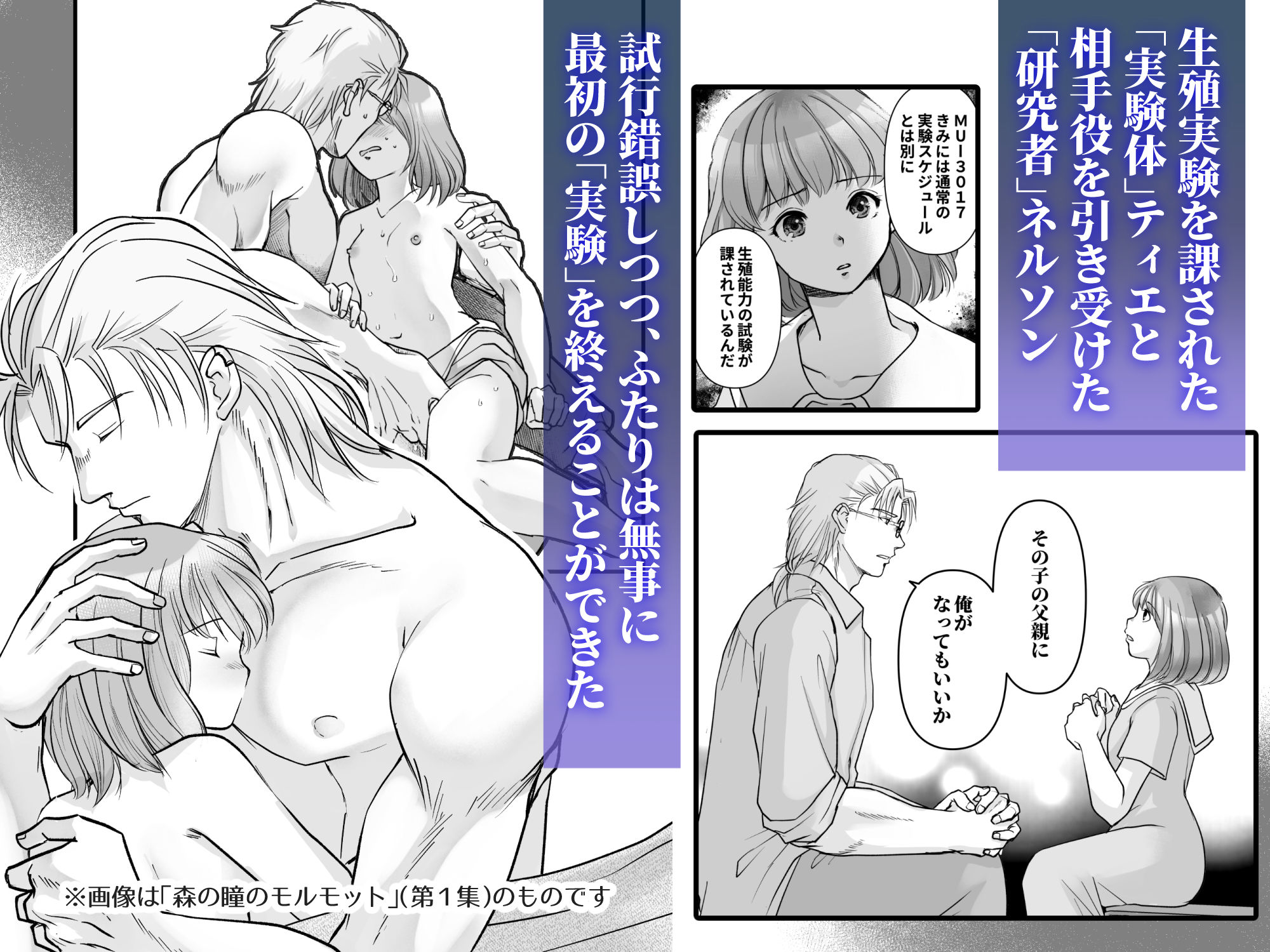 森の瞳のモルモット - 第2集 -