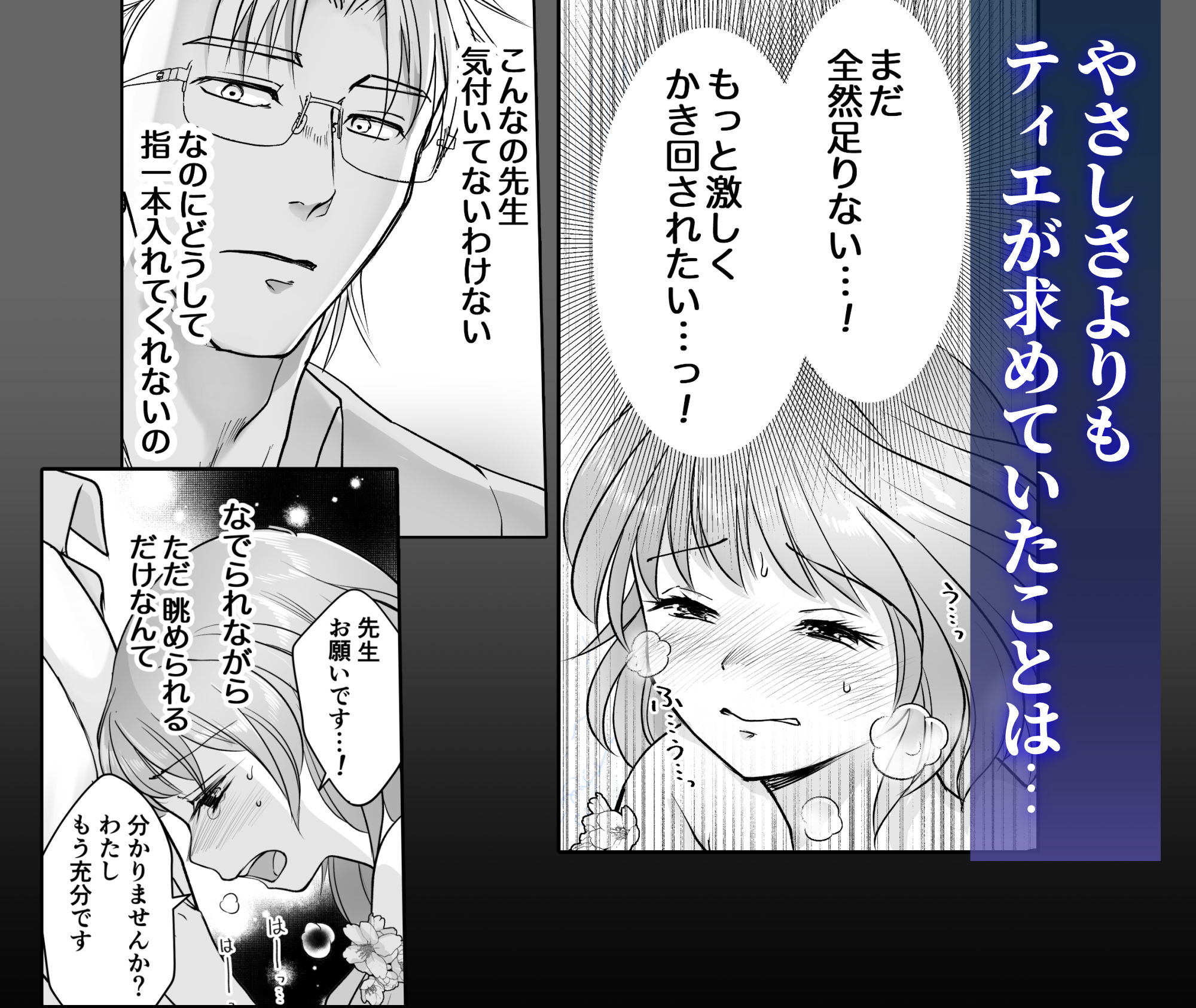 森の瞳のモルモット - 第2集 -