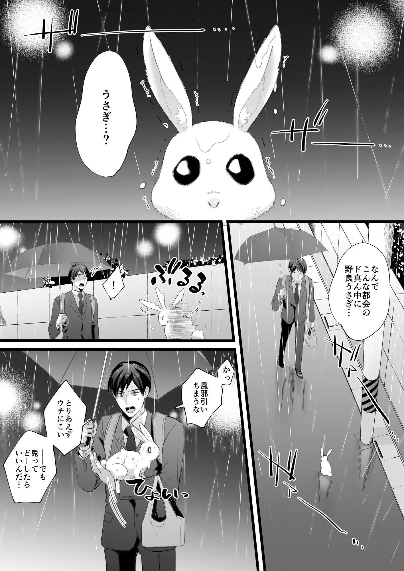 落し物は発情うさぎ