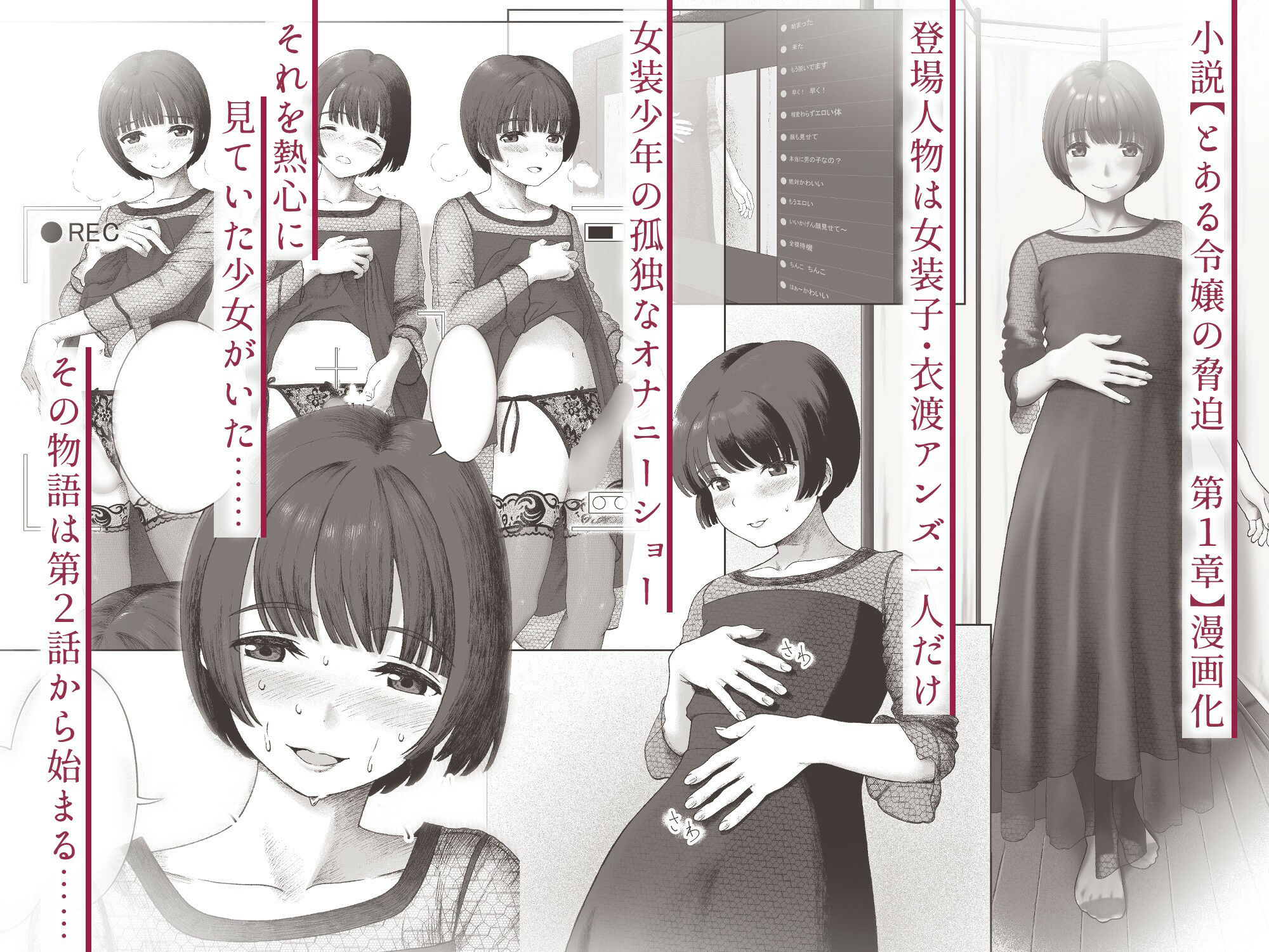 とある令嬢の脅迫 第1話