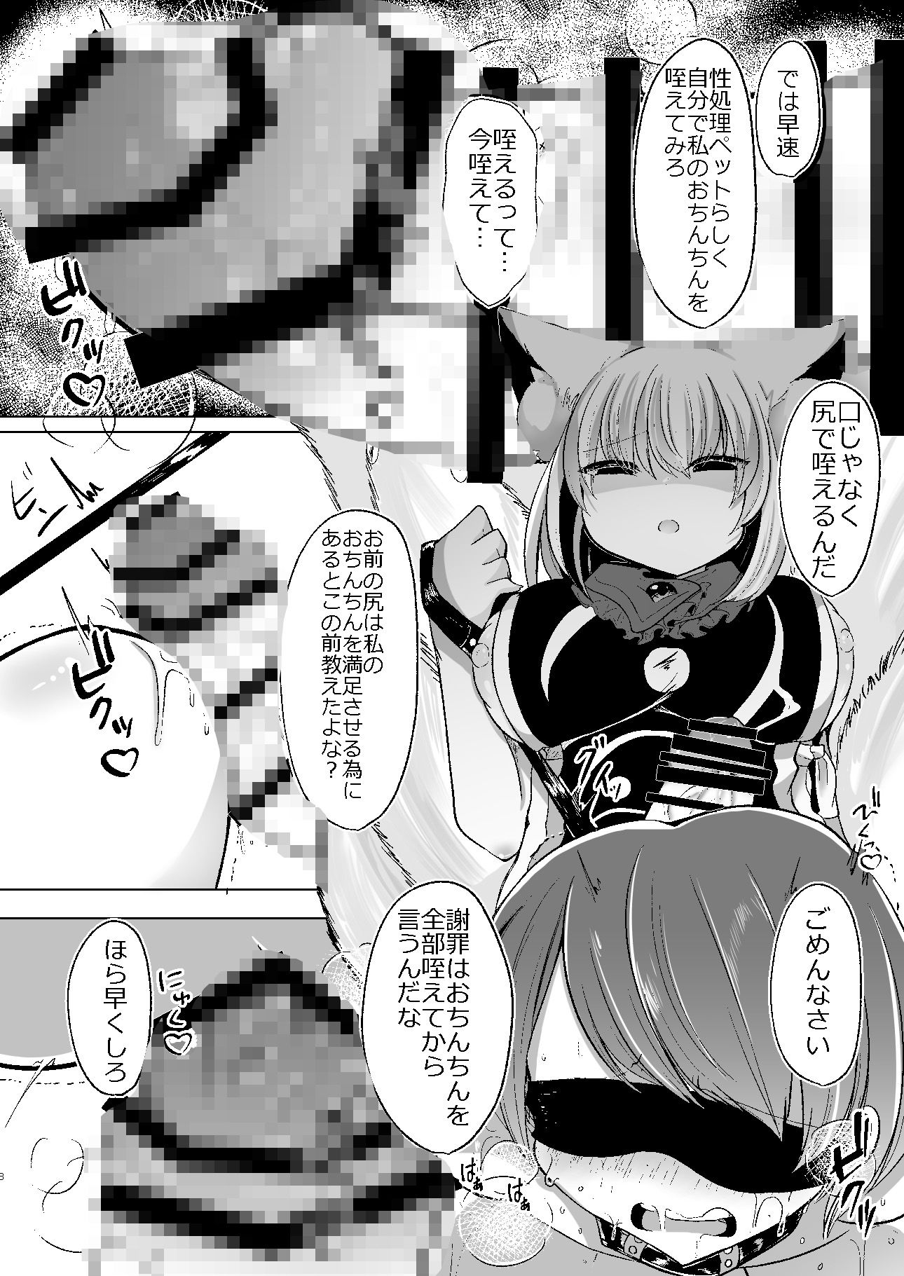 八雲藍が性処理ペットと戯れる本