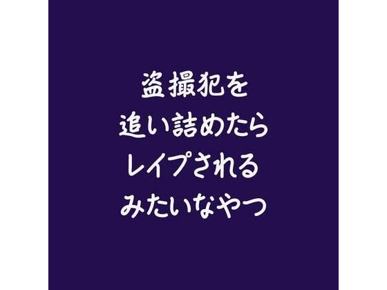 盗撮犯を追い詰めたらレ●プされるみたいなやつ