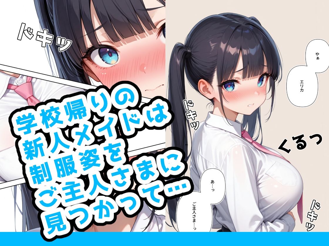 新米メイドには絶対遵守の掟がある3 制服編