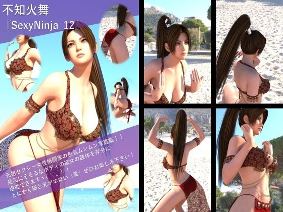 【TD500】元祖セクシー女性格闘家『不知火舞（しらぬいまい）』の学生服写真集SexyNinja-11から20までの10本セット総集編2