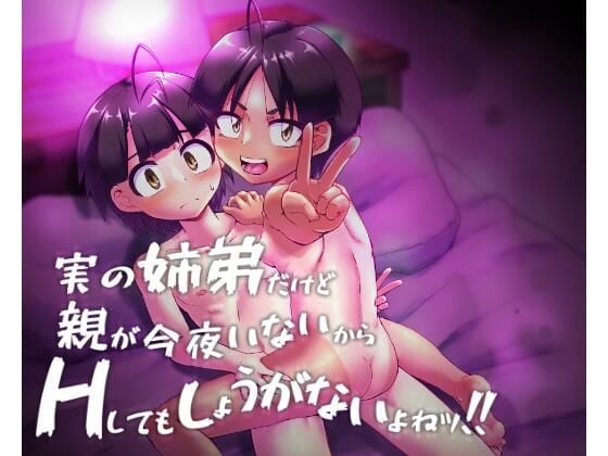 実の姉弟だけど親が今夜いないからHしてもしょうがないよねッ！！