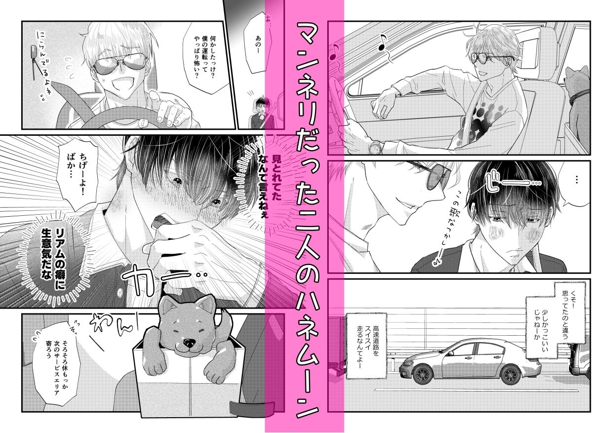 ハネムーンは、欲望のままに。〜外でも中でも、おまえが欲しい〜【ココロ君のきもちいいトコロ8】