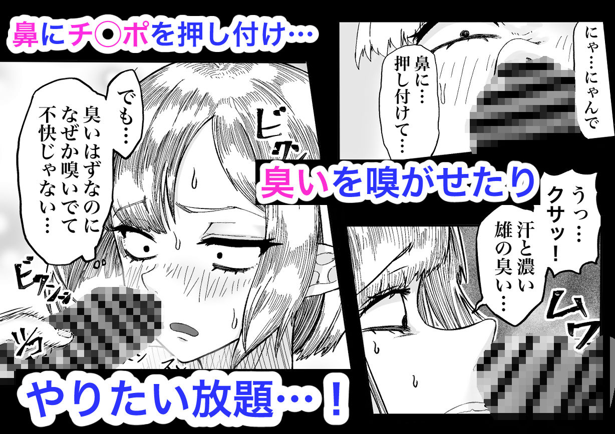 風呂嫌いな地味顔エルフの娼婦を騙して嫁にする