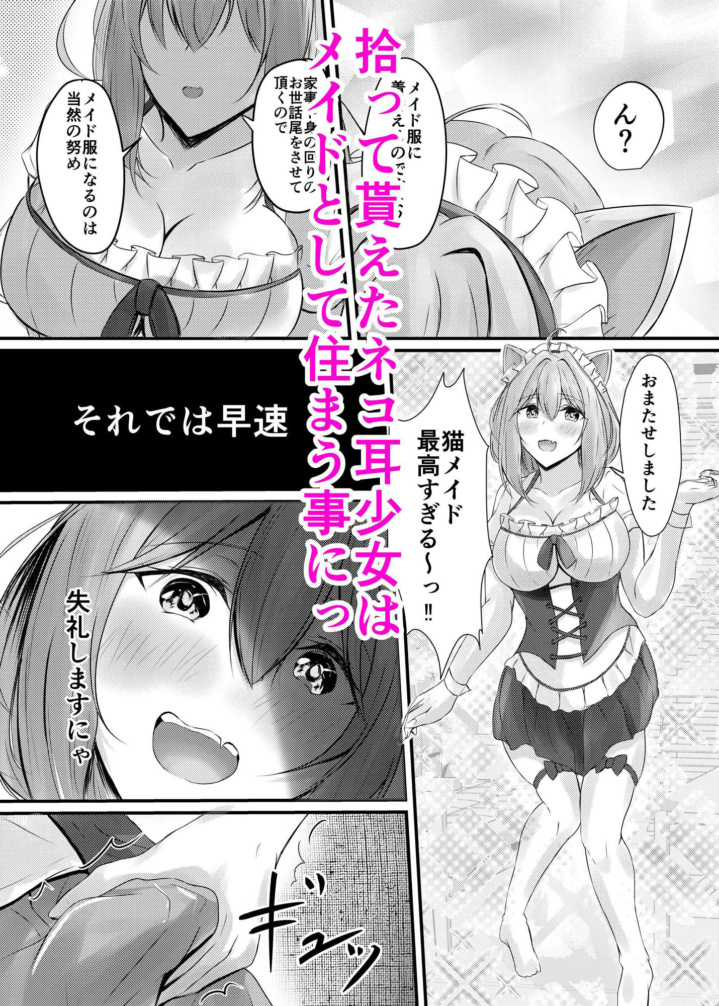 ハコのネコ