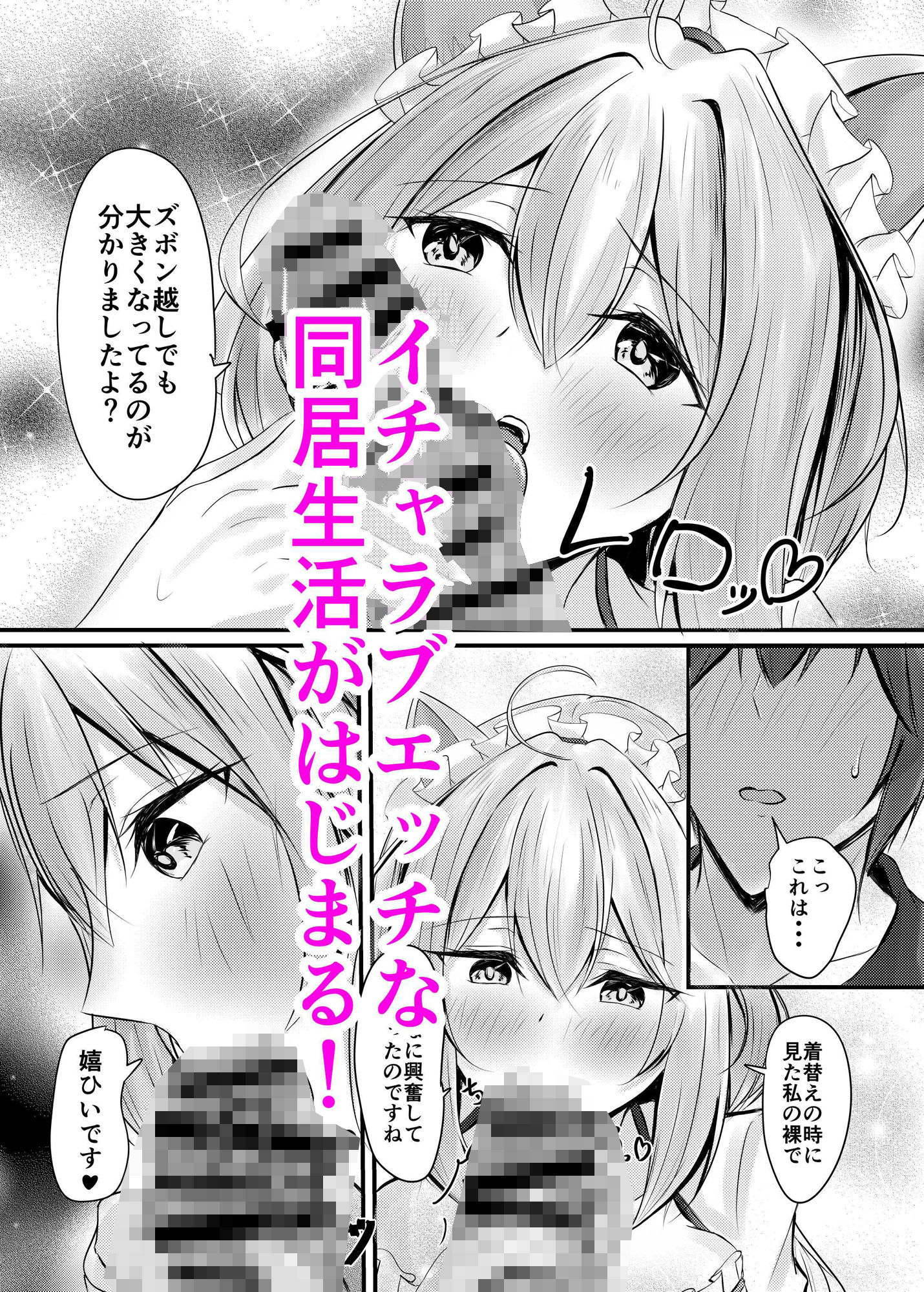 ハコのネコ