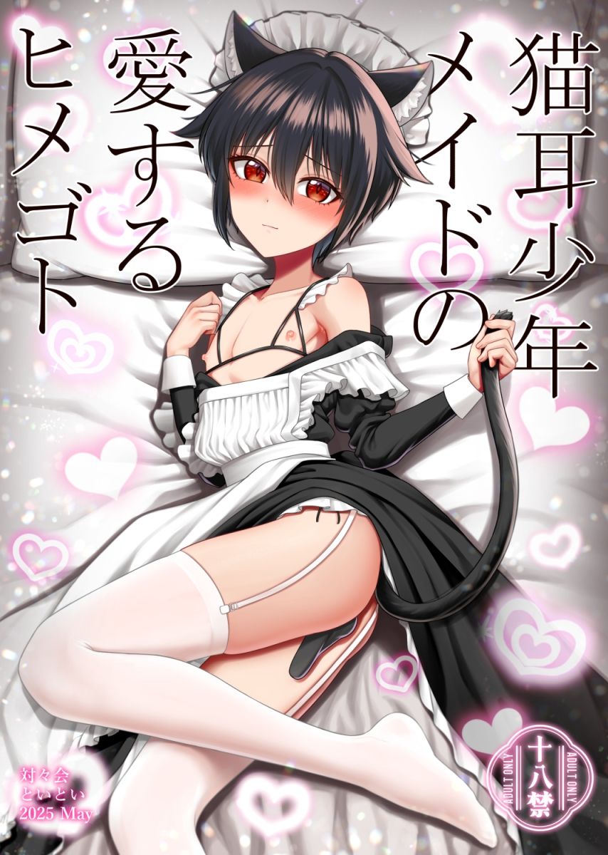 猫耳少年メイドの愛するヒメゴト