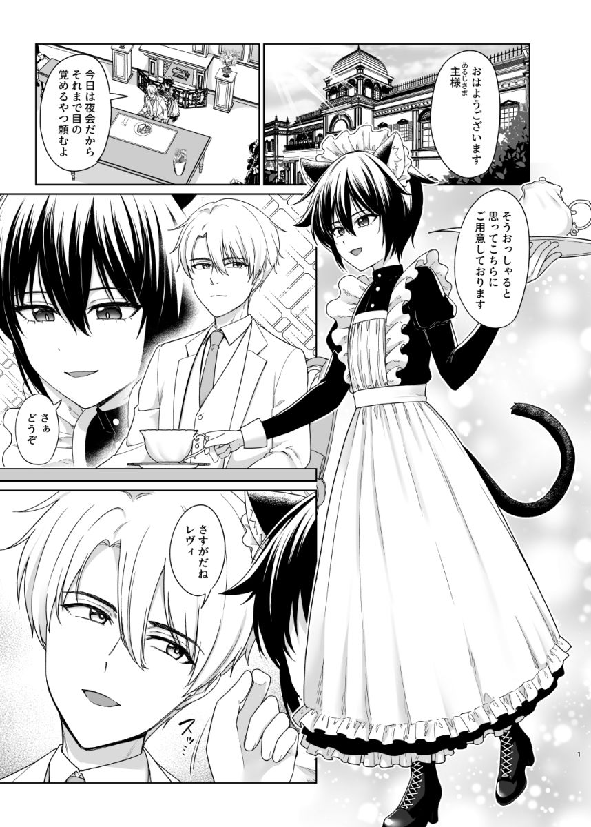 猫耳少年メイドの愛するヒメゴト