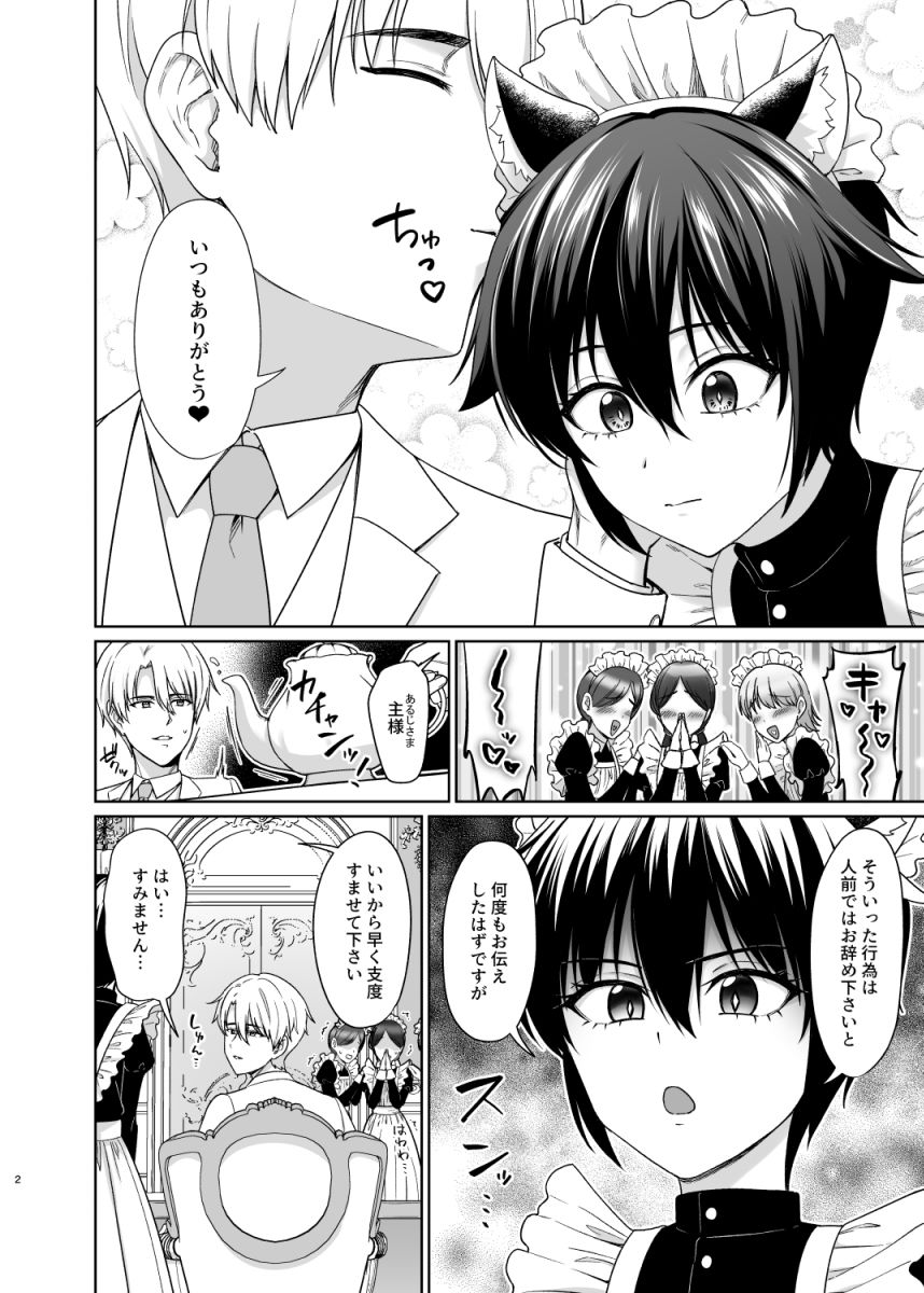 猫耳少年メイドの愛するヒメゴト