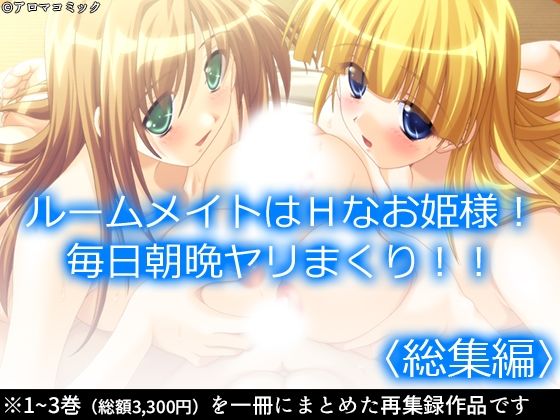 ルームメイトはHなお姫様！毎日朝晩ヤリまくり！！ ＜総集編＞