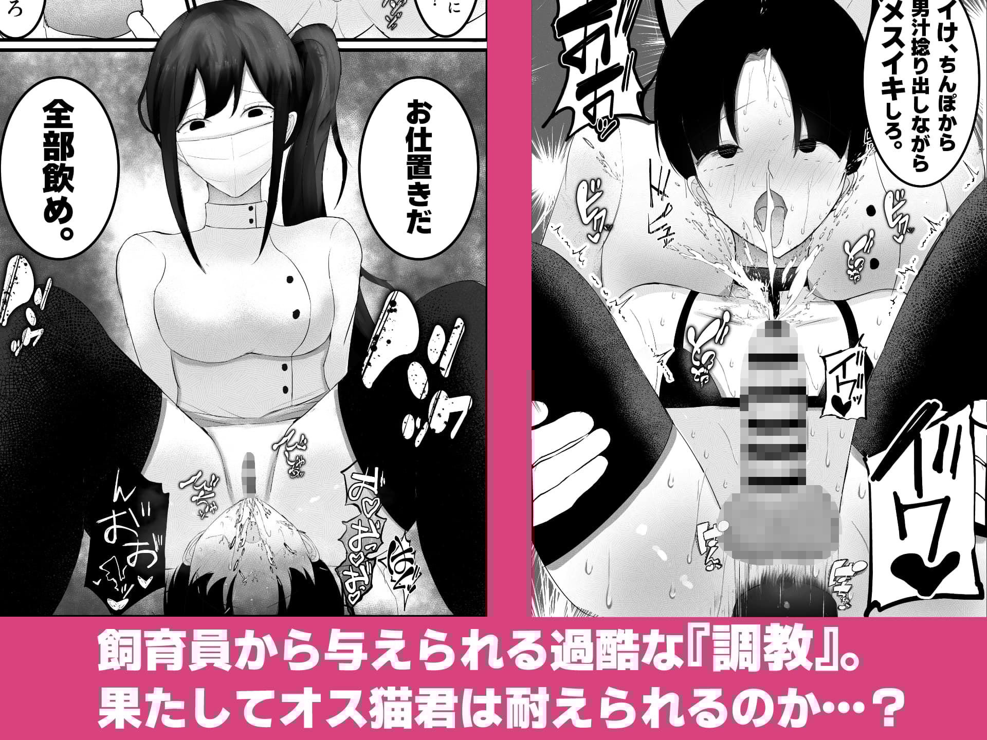 飼育員のお姉さんが可愛いオス猫を『調教』する話