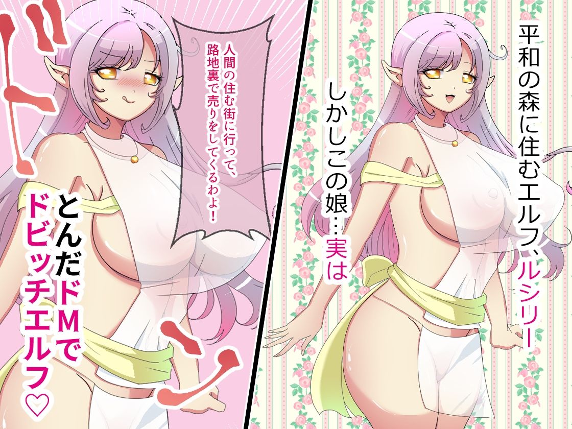 ドMエルフちゃんは、男たちにブチまわされて父親の分からない赤ちゃんを孕みたい