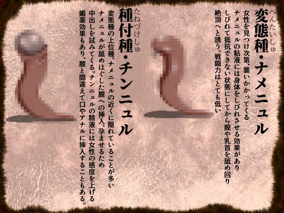 エロモンスターに敗北！裸じゃないといけない国でエロモンスターに襲われ快楽に敗れた処女で巨乳な女剣士