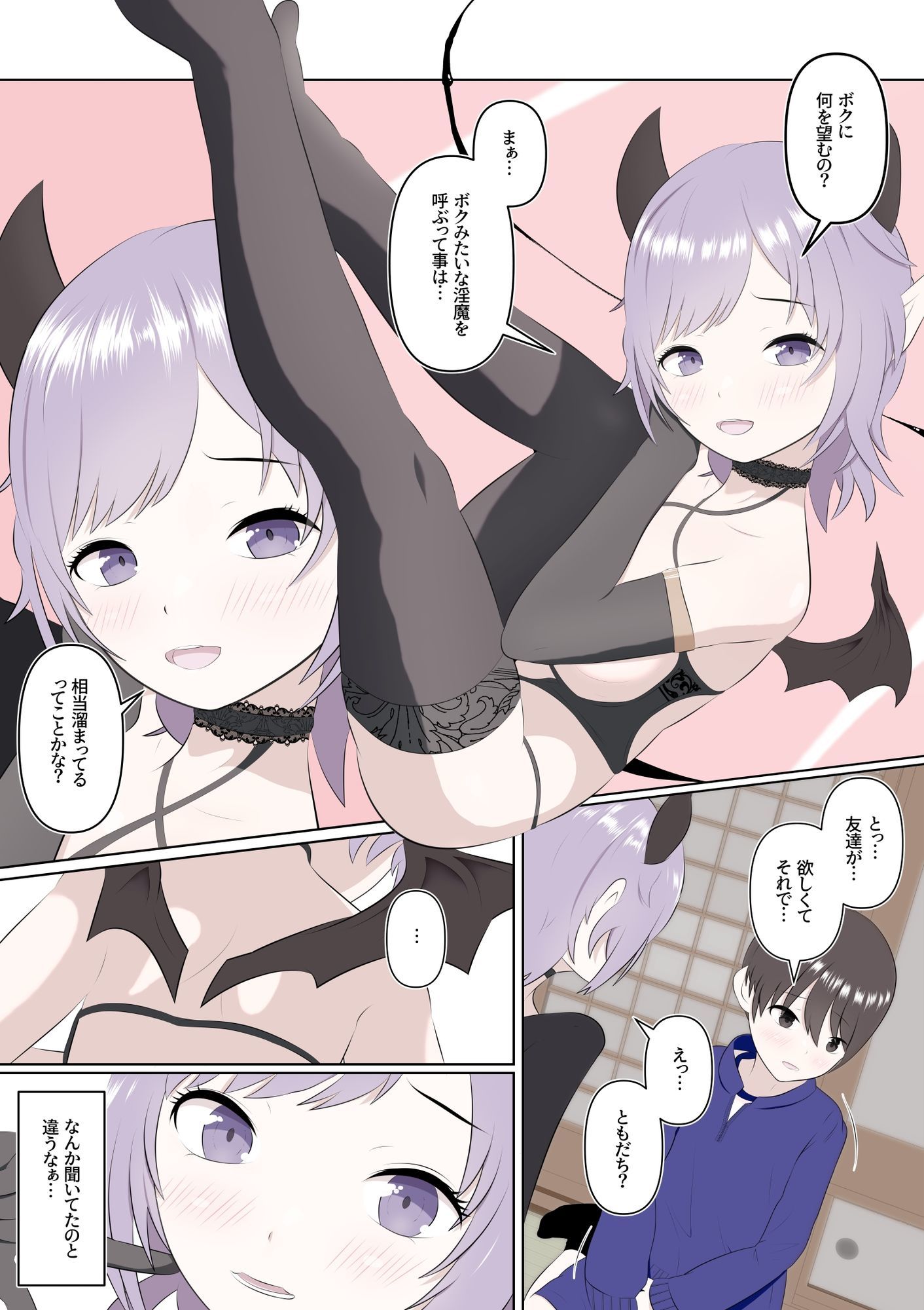 サキュバス娘と僕