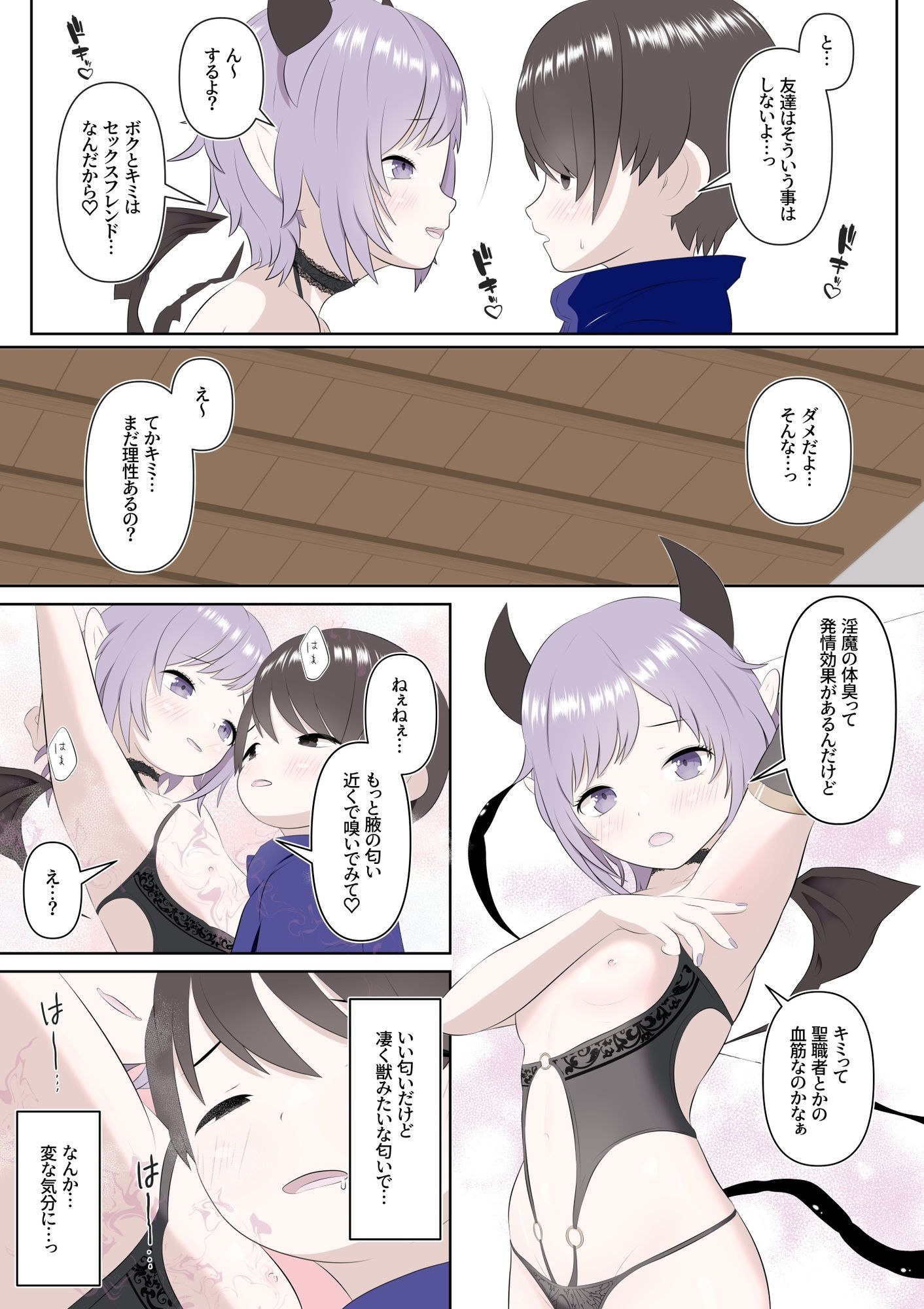 サキュバス娘と僕