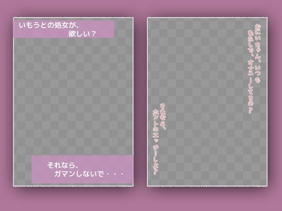 写真集パケコラ素材〜「妹えっち」