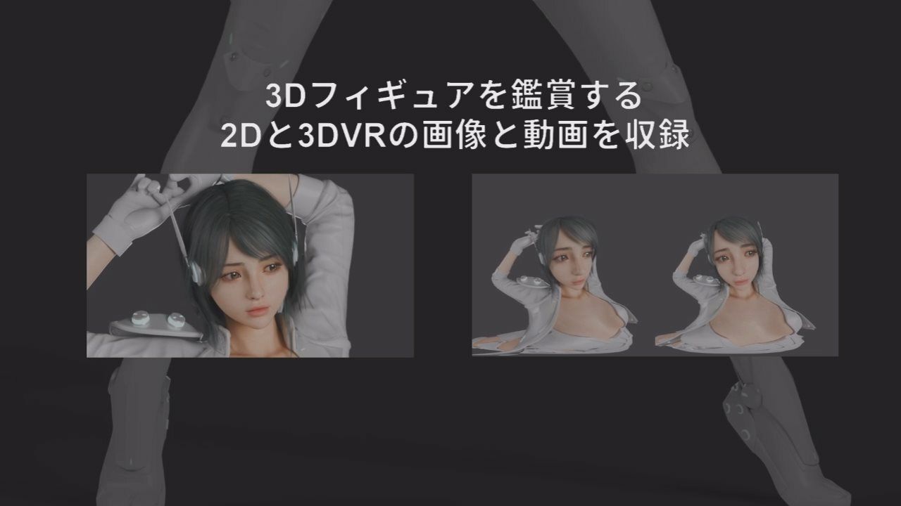 2D+3DVR VIRTUAL FIGURE MODEL:X-018 FILE.01