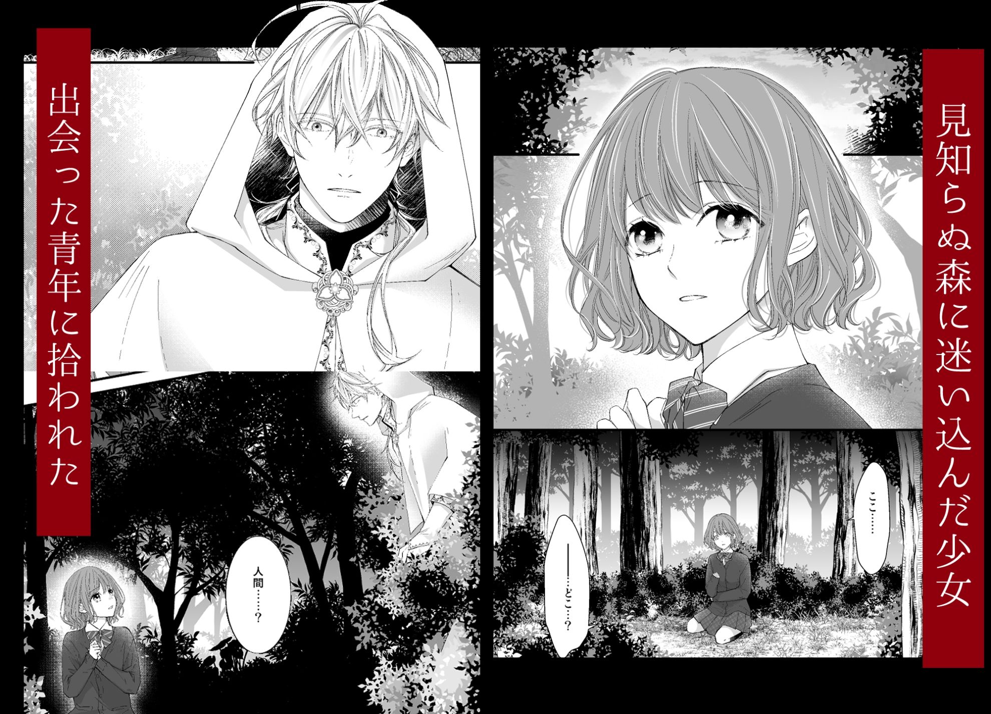 魔術師の鳥籠-フォレノワール-