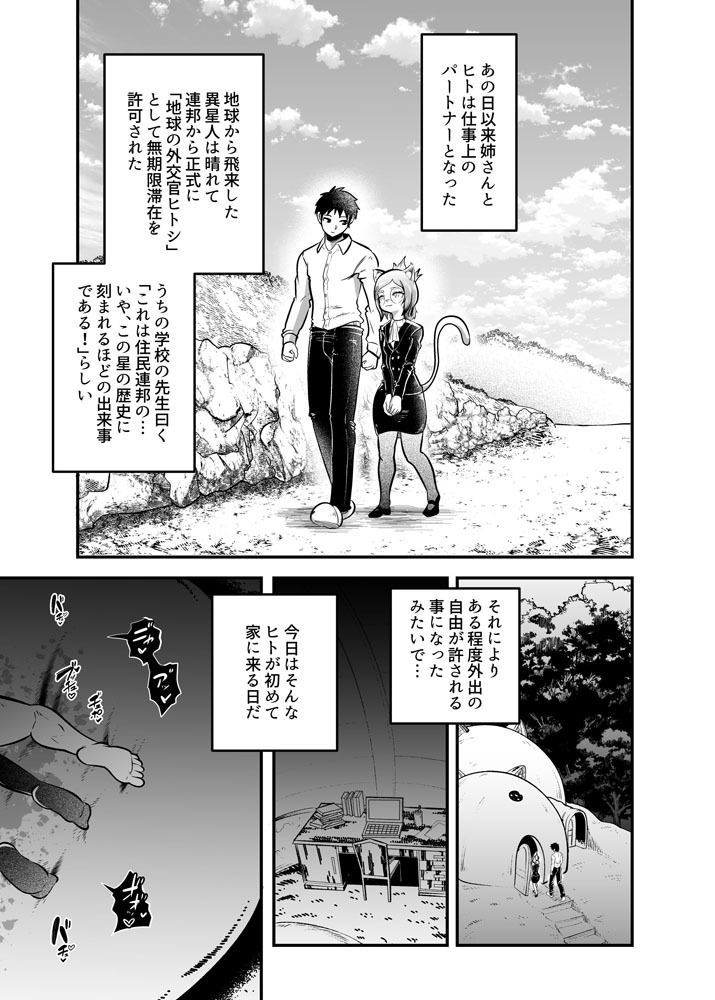 トネリコ報道官の裏報告書2