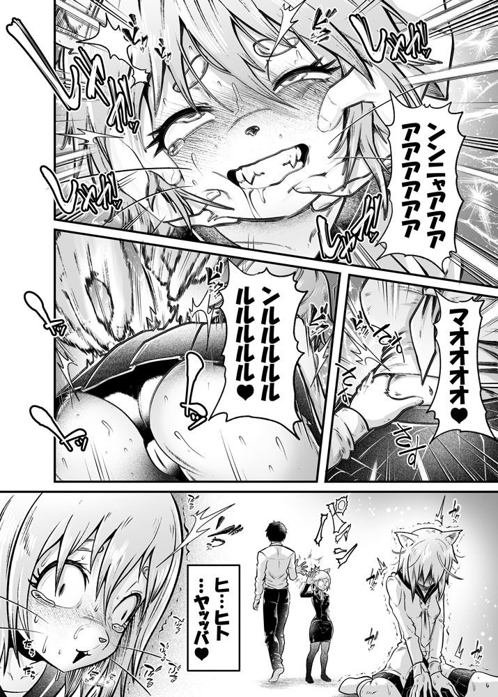 トネリコ報道官の裏報告書2