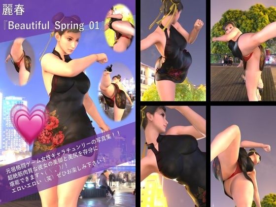 【TD500】最強の元祖格闘女子『春麗（チュンリー）』の写真集 Beautiful_Spring-01から10までの10本セット！