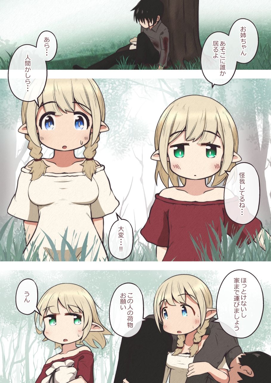 エルフの姉妹に助けられた冒険者が性奴●にされるお話
