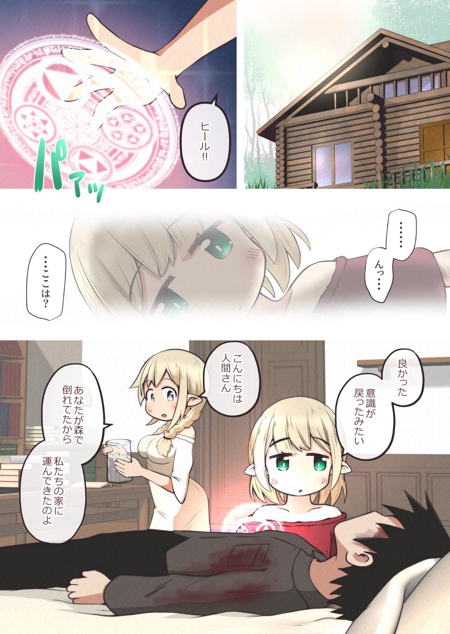 エルフの姉妹に助けられた冒険者が性奴●にされるお話