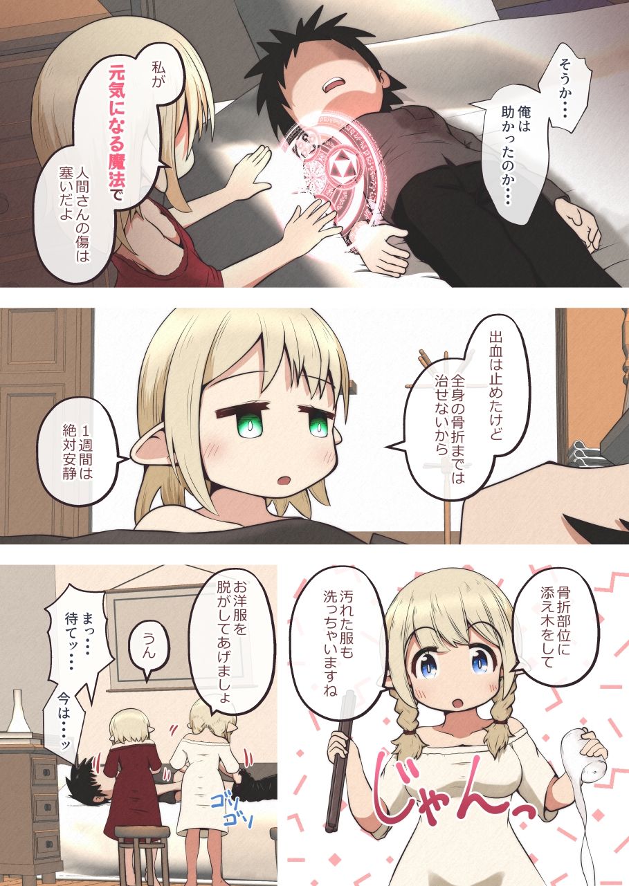 エルフの姉妹に助けられた冒険者が性奴●にされるお話