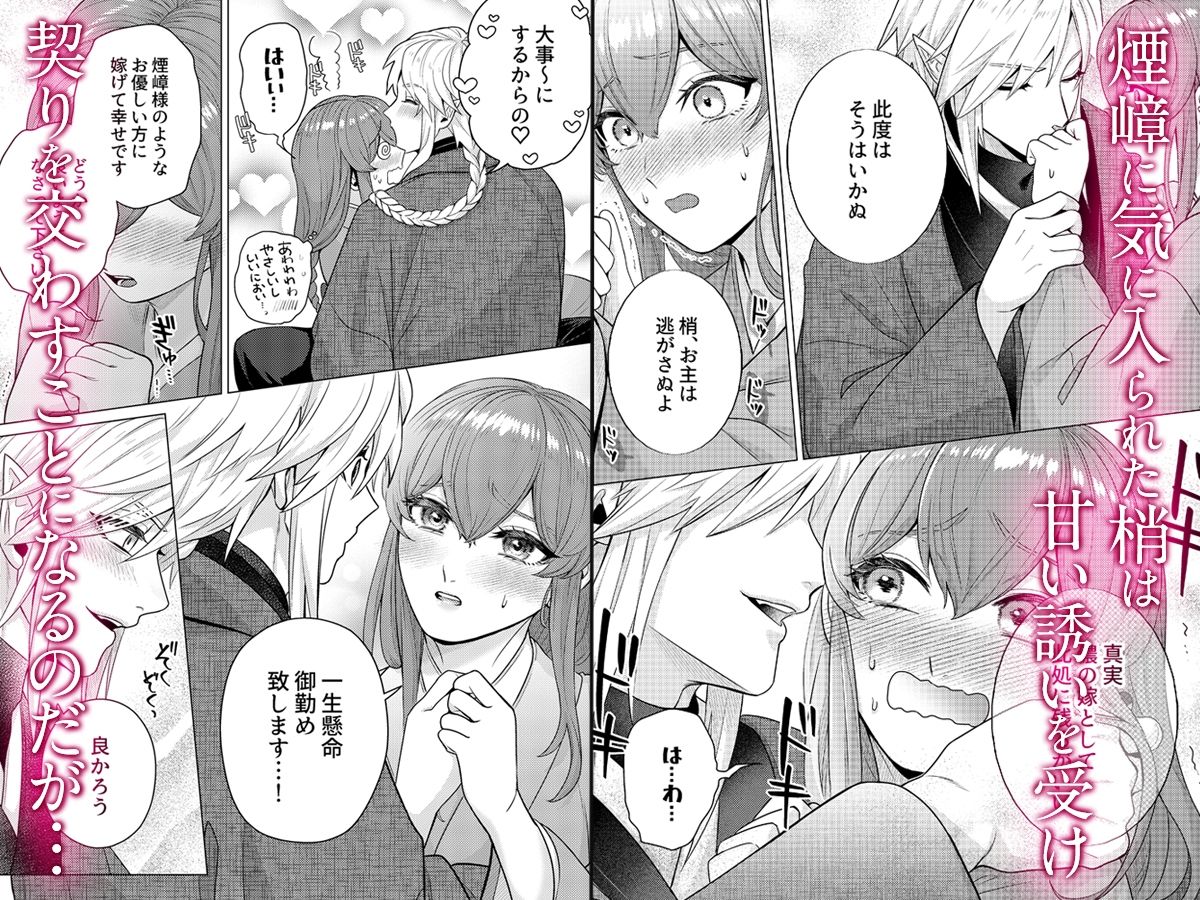 嫁ぎ先は土地神さま一目惚れから始まる溺愛エッチで誰のものかわからされました