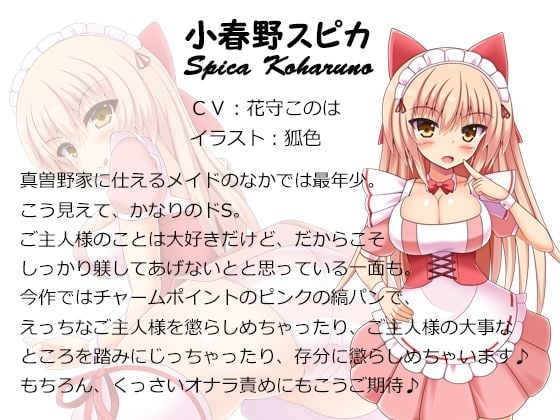 ご主人様、きっつい躾が必要ですね♪ 全作まとめ買いセット