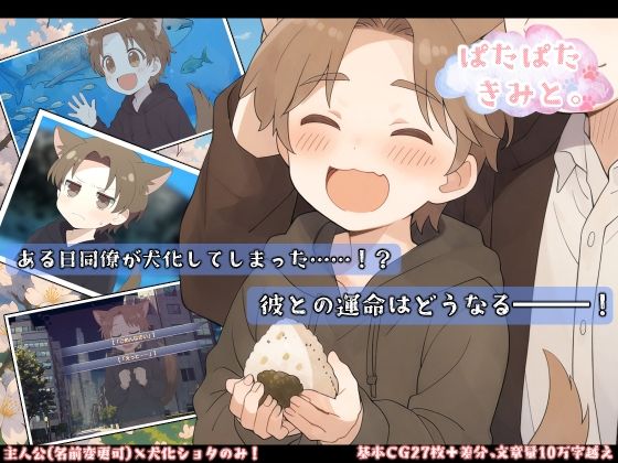 ぱたぱたきみと。