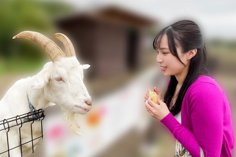 いつでもどこでも人妻オナホ したがり温泉旅行 藤原真帆
