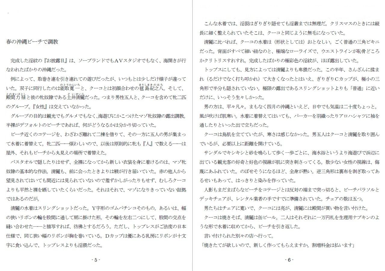 800万円のDVR:3惨虐搾取編