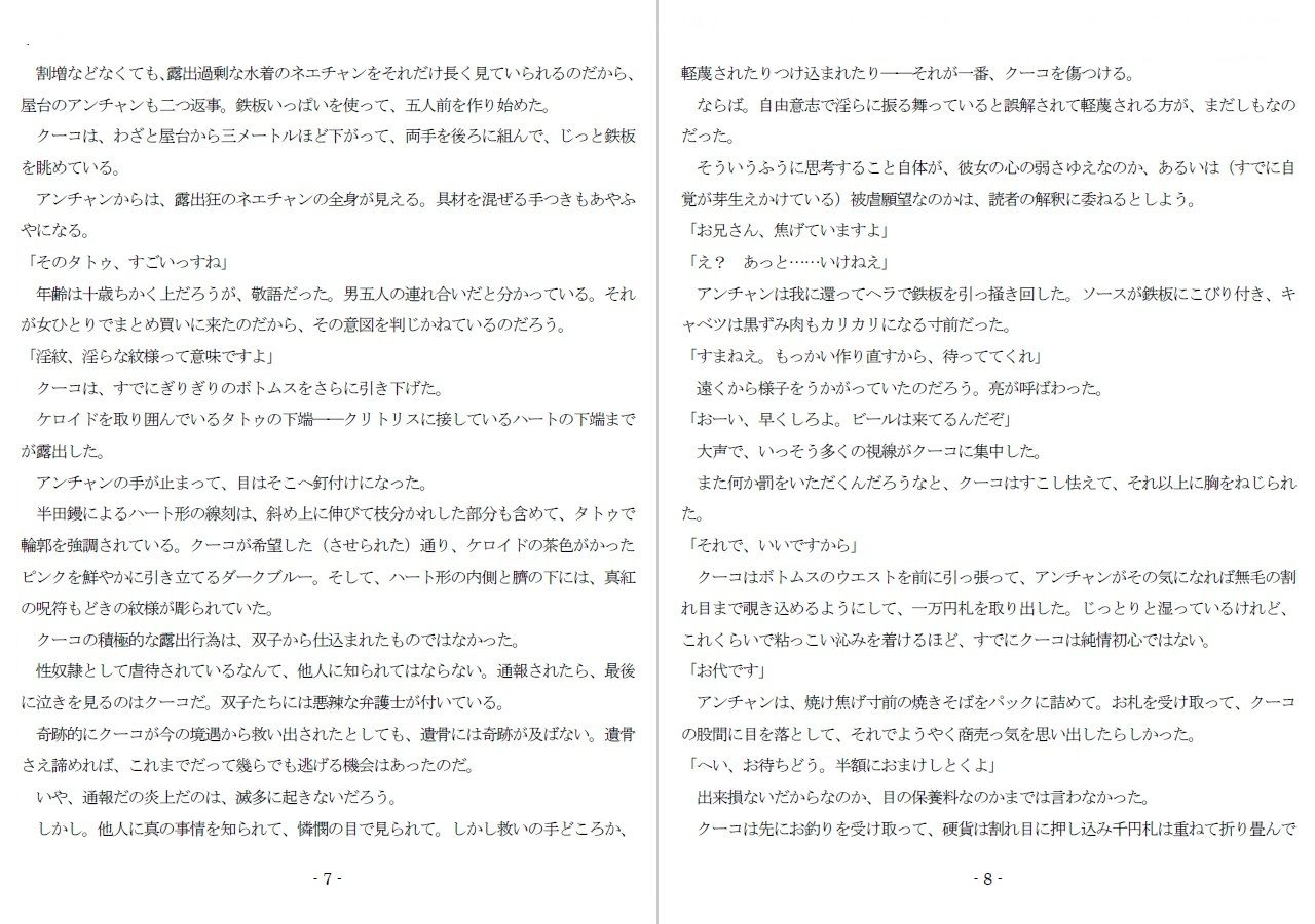 800万円のDVR:3惨虐搾取編