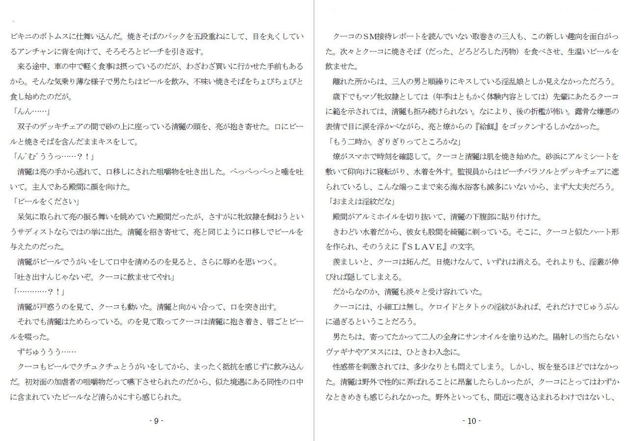 800万円のDVR:3惨虐搾取編