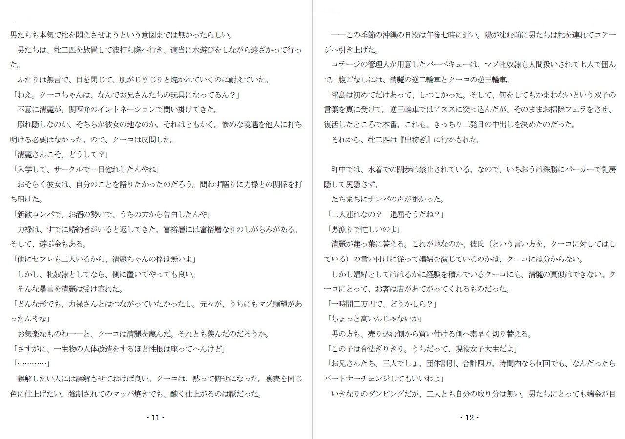 800万円のDVR:3惨虐搾取編